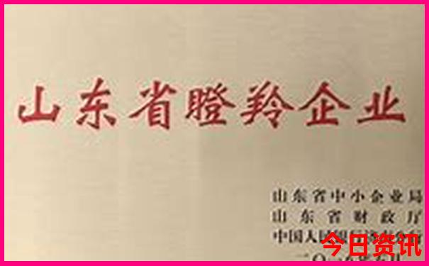 暑假带娃旅游好去处